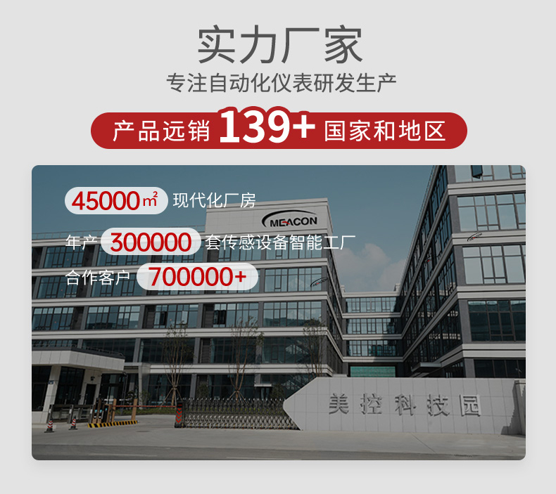 企業(yè)實力